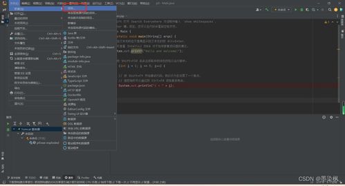 使用IntelliJ IDEA創(chuàng)建Web開發(fā)項目 計算機軟硬件的開發(fā)與應用